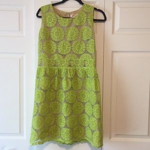 Anthropologie Freeway dress size medium M